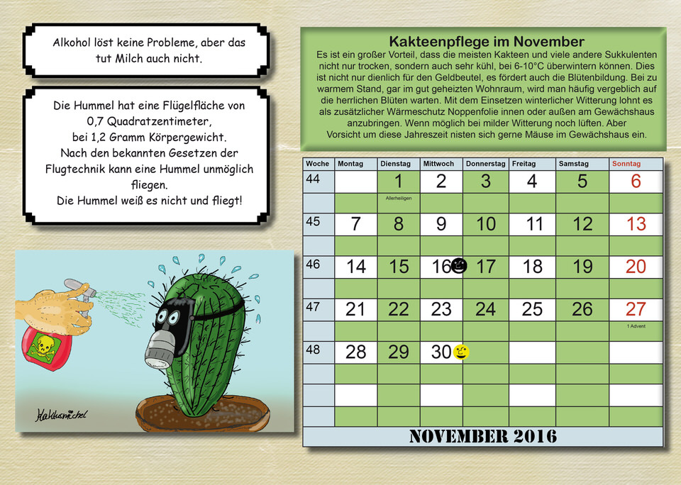 Kaktushumor Kalender für 2016