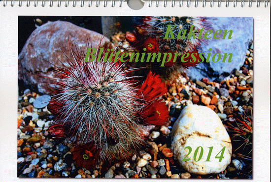 Kalender-2014