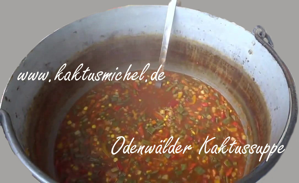 Ein Kessel voll "Odenwälder Kaktussuppe"
