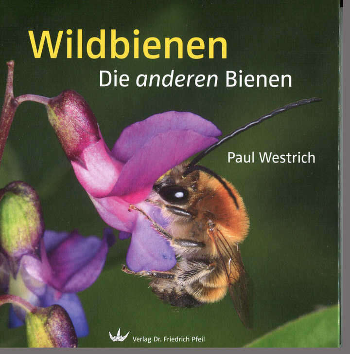 ISBN: 978-3-89937-136-9