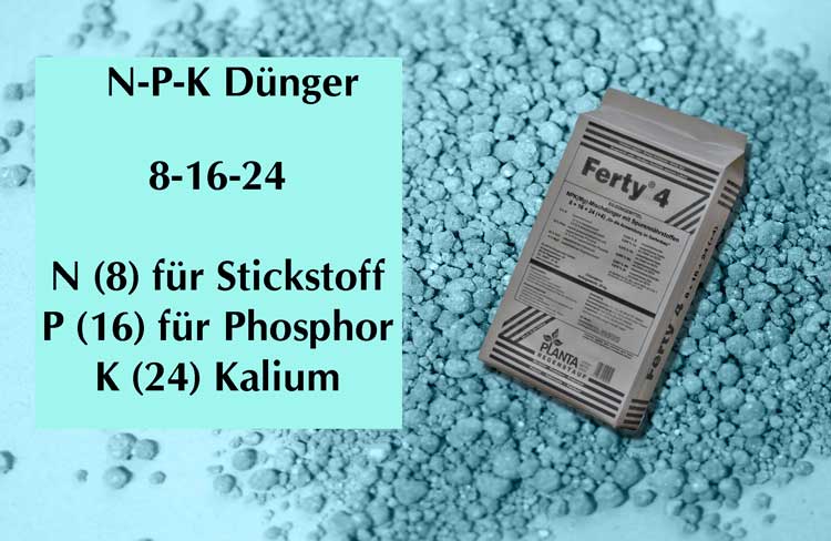Dngen bei Kakteen und anderen Sukkulenten - KAKTUSNEWS und andere Hobbys
