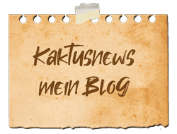 Blog-Button250